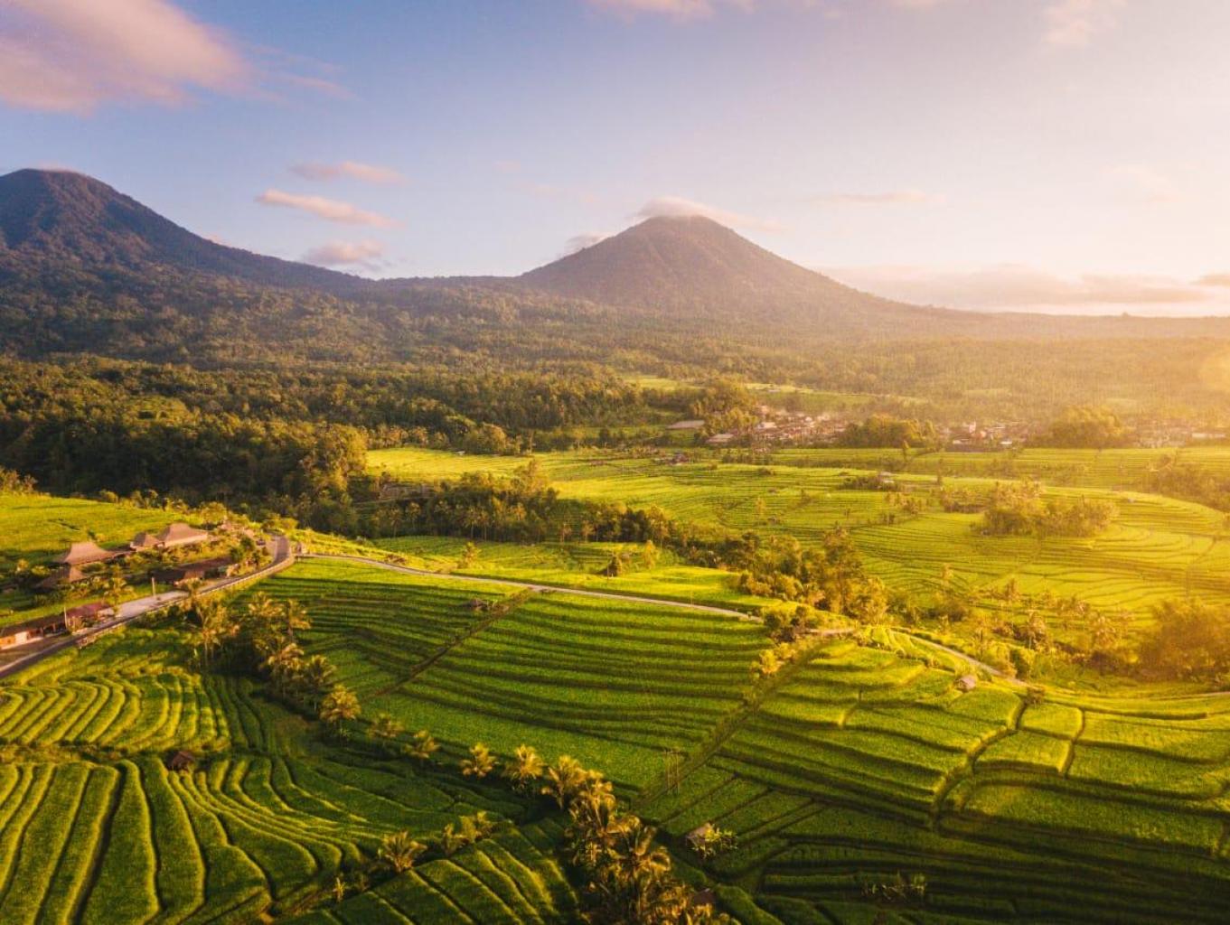 Alam Desa Srengseng Sawah yang Asri