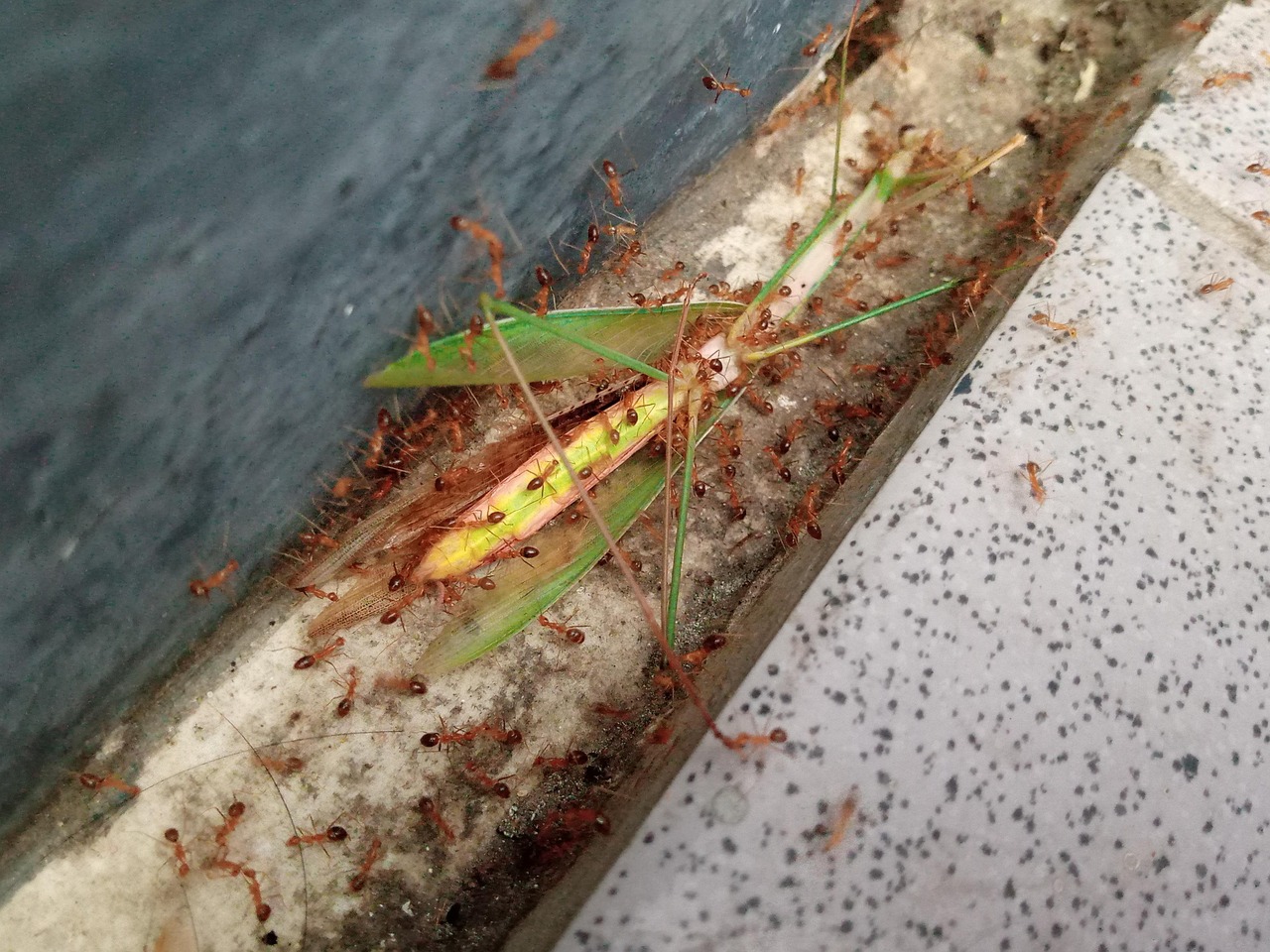 Mengubah Polisi Lingkungan Melalui Edukasi di Desa Srengseng Sawah