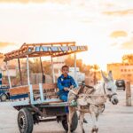 Kerjasama Desa dan LSM dalam Program Edukasi Lingkungan Srengseng Sawah